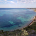 1.5Hr Dolphin And Seal Watching Eco Boat Tour Mornington Peninsula - We Wander