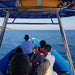 1.5Hr Dolphin And Seal Watching Eco Boat Tour Mornington Peninsula - We Wander