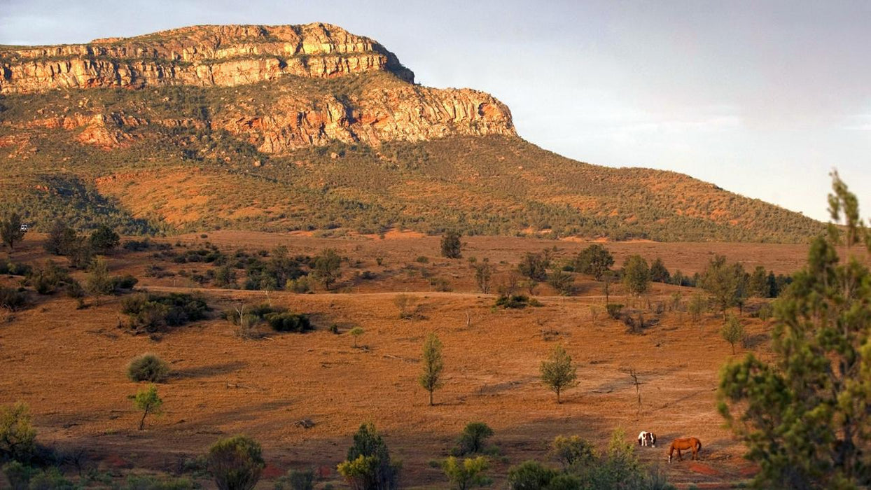 3 - Day Flinders Ranges & Outback Small Group 4Wd Eco Safari - We Wander