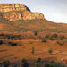 3 - Day Flinders Ranges & Outback Small Group 4Wd Eco Safari - We Wander