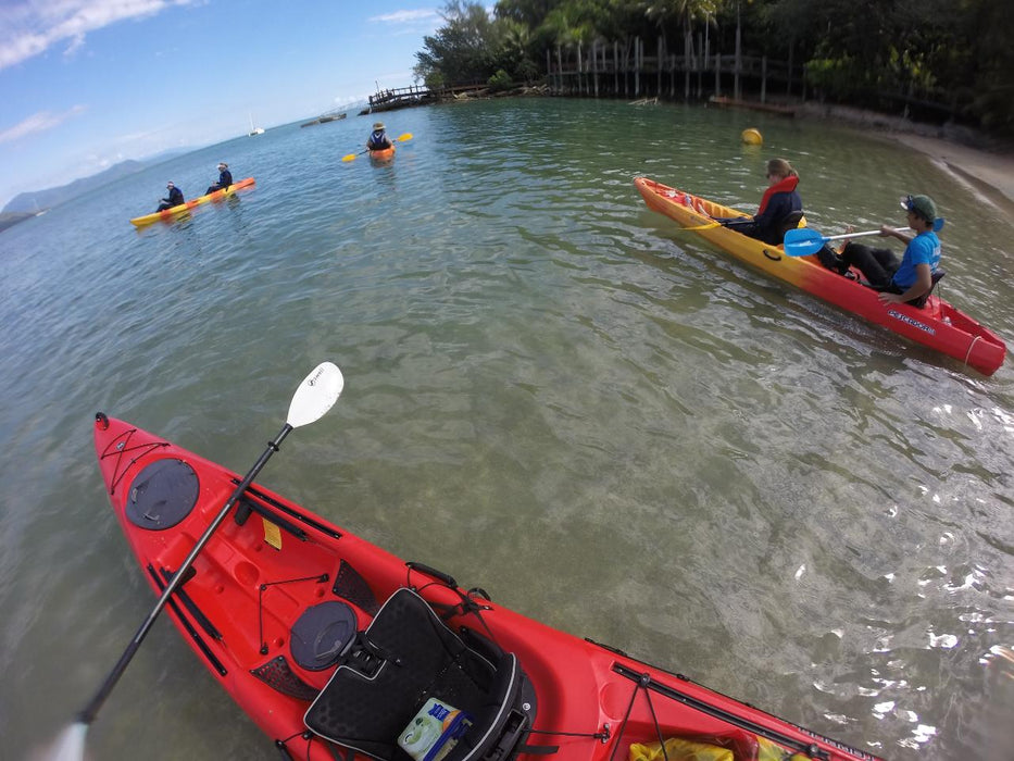 3 - Hour Sunrise Kayak Turtle Tour - We Wander