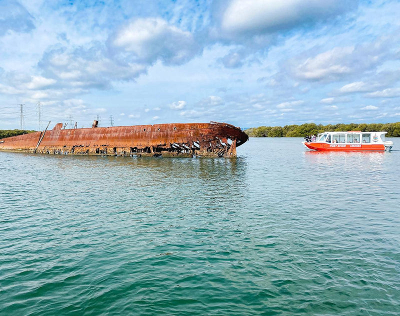 90 Minute Port River Dolphin & Ships Graveyard Cruise - We Wander