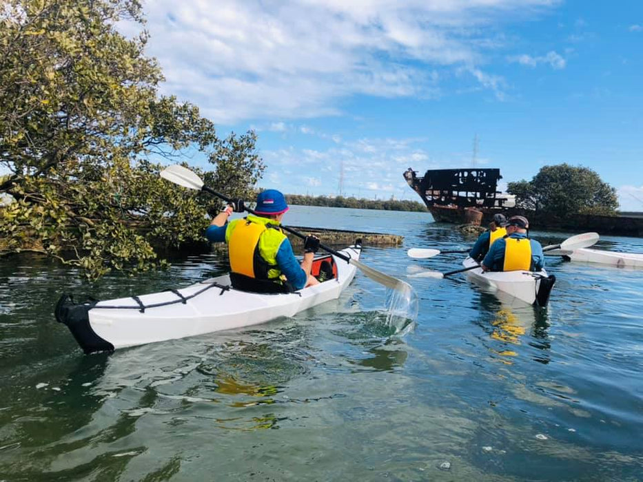 Adelaide Dolphin Sanctuary And Ships Graveyard Tour - We Wander