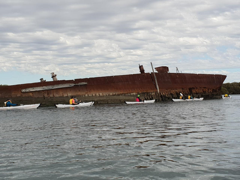 Adelaide Dolphin Sanctuary And Ships Graveyard Tour - We Wander