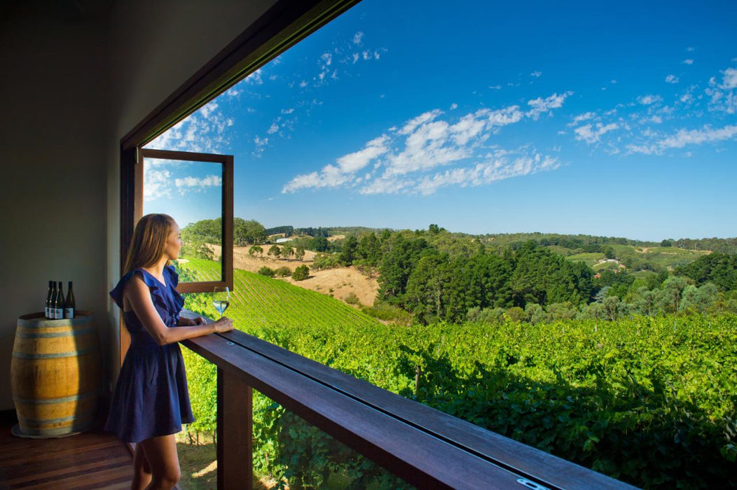 Adelaide Hills & Mclaren Vale: Intimate Small Group Wine Tour - We Wander