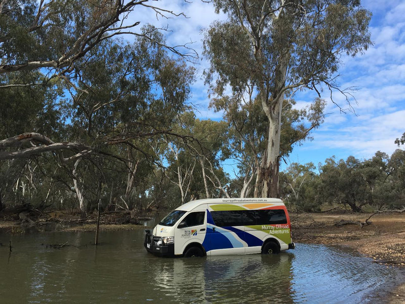 Australian Bush Delights - Hattah National Park Tour - We Wander