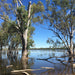 Australian Bush Delights - Hattah National Park Tour - We Wander