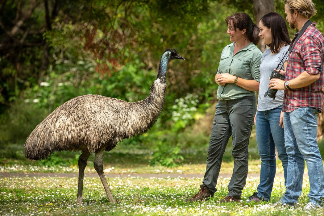 Autopia Tours: Great Ocean Road To Grampians 3 Day - We Wander