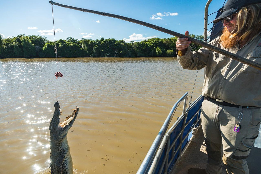 Autopia Tours: Jumping Crocodile Tour From Darwin - We Wander