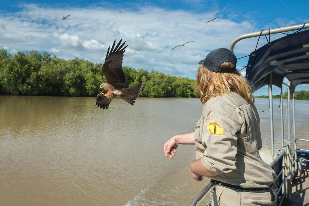 Autopia Tours: Jumping Crocodile Tour From Darwin - We Wander