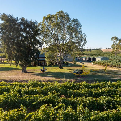 Barossa Valley Behind The Scenes Winery And Vineyard Experience Kies Family Wines - We Wander