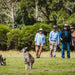 Best Of Wildlife And Birds Tour - Canberra - We Wander