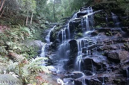 Blue Mountains Vintage Cadillac High Tea Private Tour. 3 Hour Experience. Includes High Tea At The M - We Wander