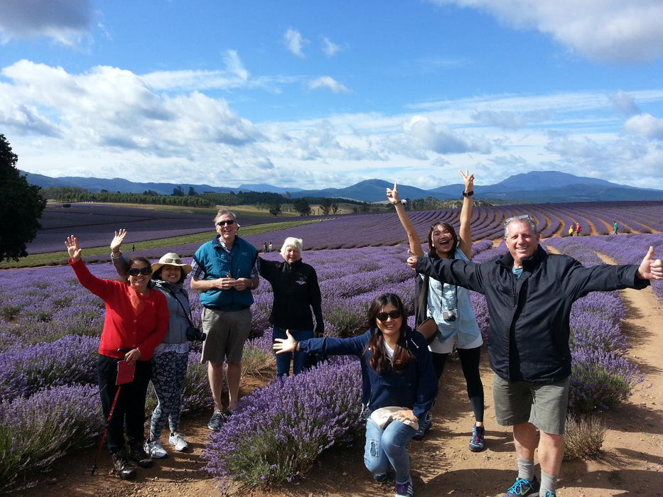 Bridestowe Lavender Farm Shuttle - We Wander