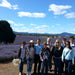 Bridestowe Lavender Farm Shuttle - We Wander