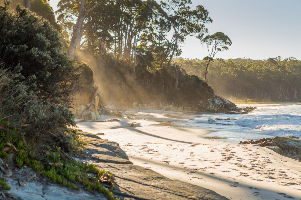 Bruny Island Day Tour - We Wander