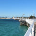 Busselton Jetty, Train Ride & Dolphin Discovery - We Wander