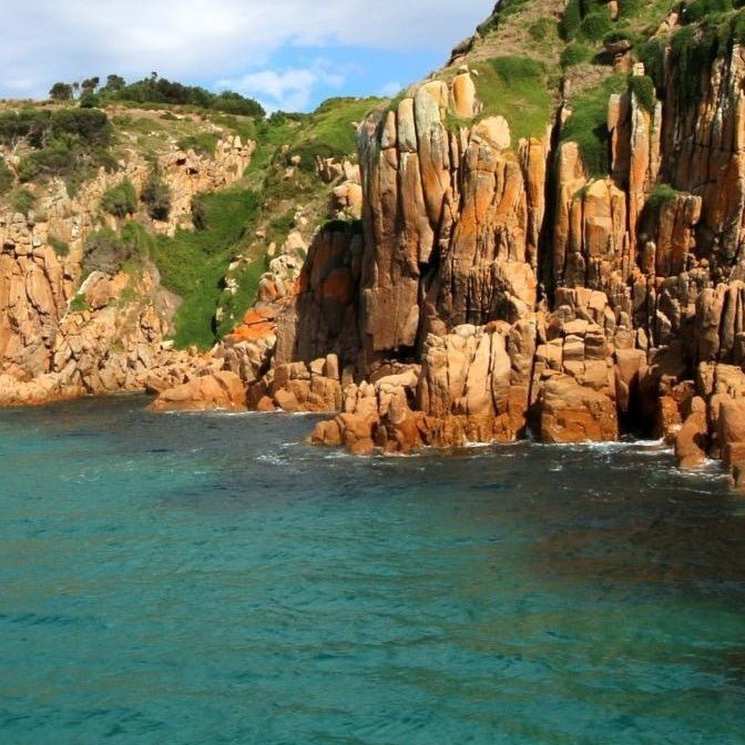 Cape Cruise - We Wander