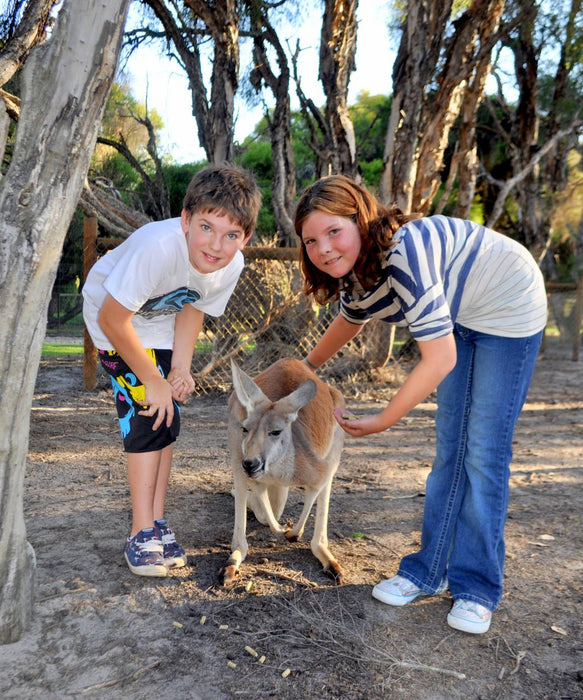 Caversham Wildlife Park, Mandoon Estate, And Swan Valley Private Full Day Tour - We Wander