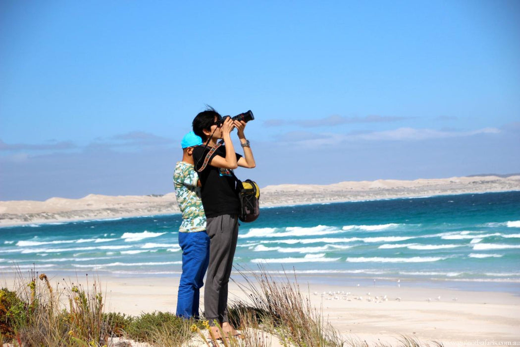 Coffin Bay Oysters, Ocean And Nature Tour - Full Day - We Wander