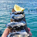 Coffin Bay Oysters, Ocean And Nature Tour - Full Day - We Wander