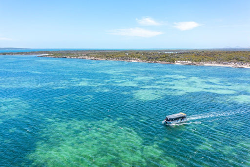 Coffin Bay Short & Sweet Oyster Farm Tour - 6 Oysters Included - We Wander