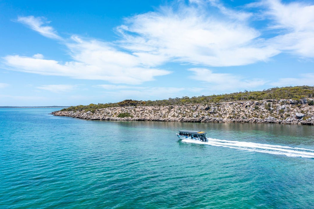 Coffin Bay Short & Sweet Oyster Farm Tour - 6 Oysters Included - We Wander