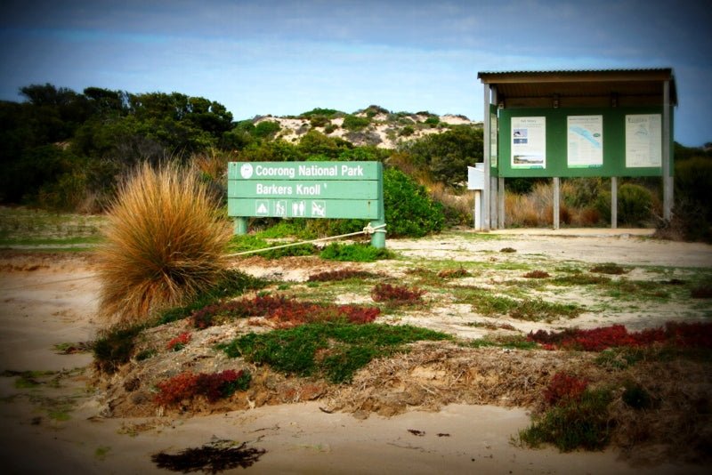 Coorong Adventure 6 Hour Cruise - We Wander