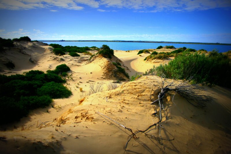 Coorong Adventure 6 Hour Cruise - We Wander