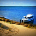 Coorong Adventure 6 Hour Cruise - We Wander