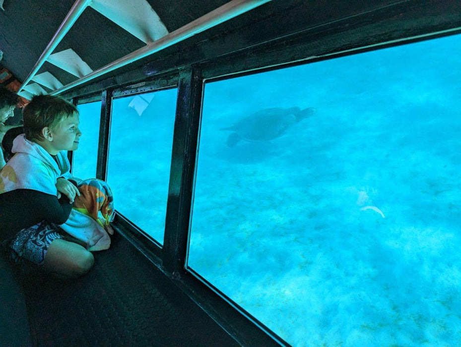 Coral Viewing Tour, Exmouth 1Hr - We Wander