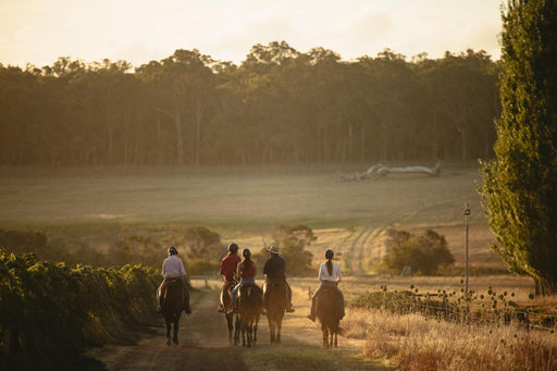 Country Lane Tour - We Wander