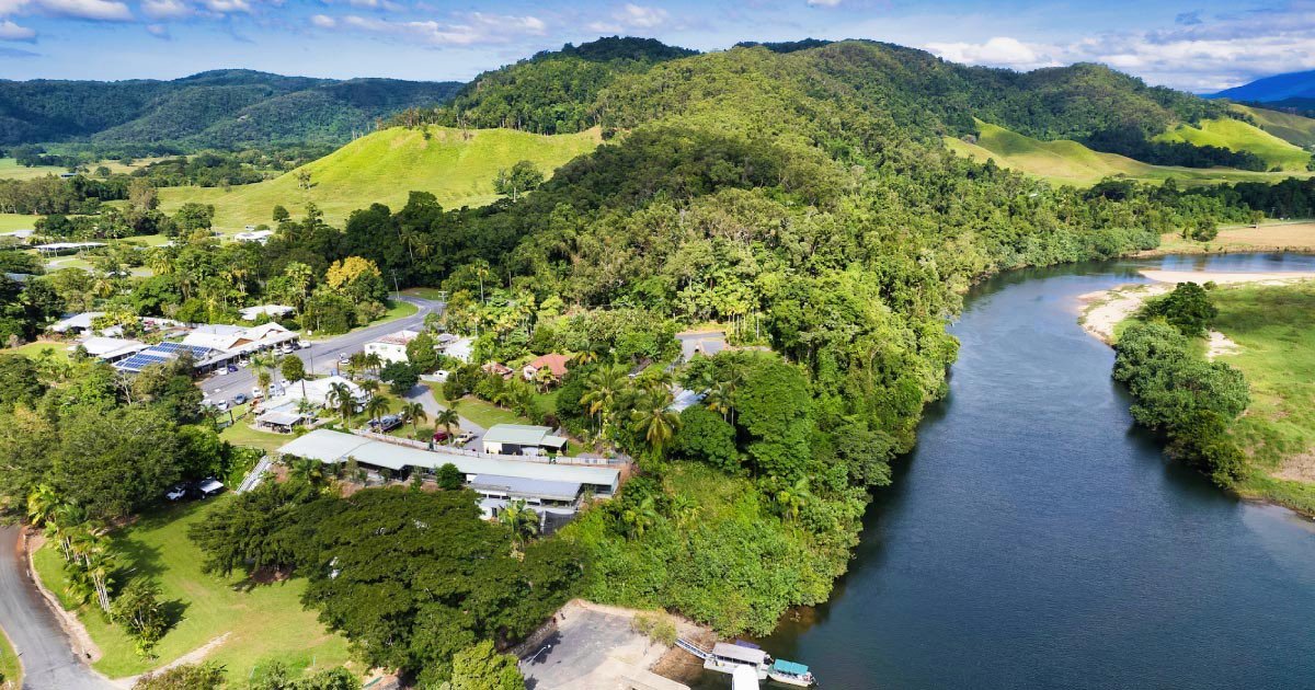 Crocodile Express Daintree Rainforest & Wildlife Cruise From Daintree Ferry Gateway - We Wander