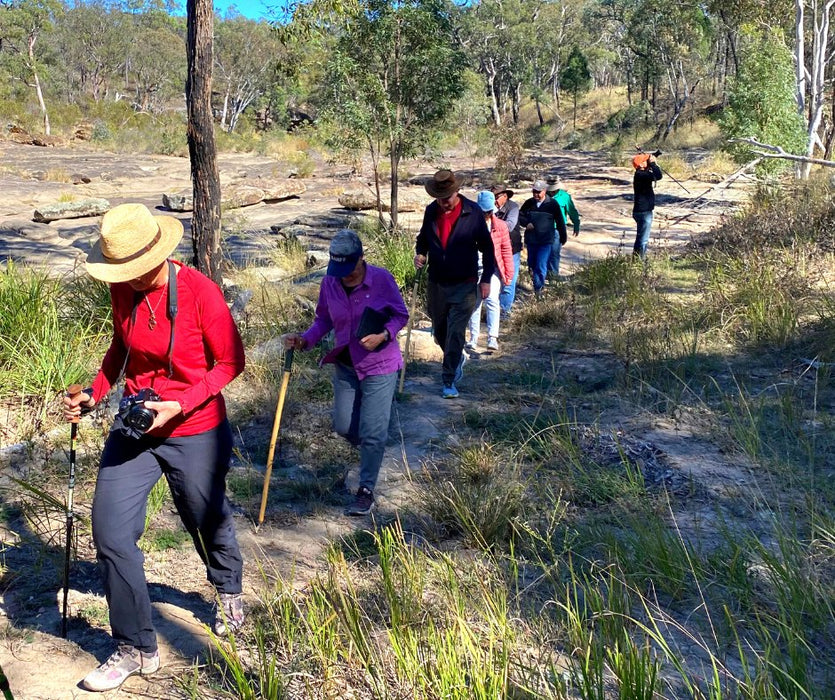 Discover Carnarvon Ranges - We Wander