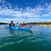 Dolphin Sanctuary Mangroves Tour - We Wander