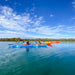 Dolphin Sanctuary Mangroves Tour - We Wander