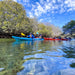 Dolphin Sanctuary Mangroves Tour - We Wander