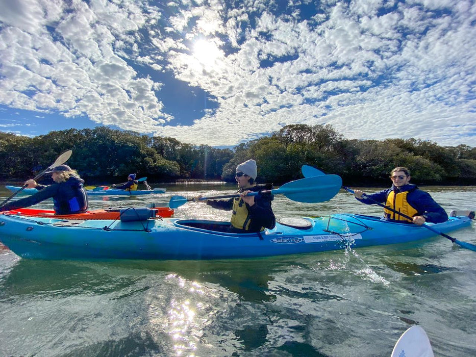 Dolphin Sanctuary & Ships Graveyard Kayak Tour - We Wander