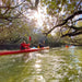 Dolphin Sanctuary & Ships Graveyard Kayak Tour - We Wander