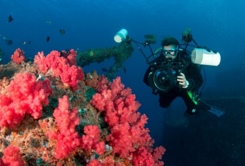 Double Dive: Ex - Hmas Brisbane Wreck - We Wander