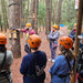 Dwellingup Treetops Adventure Hike - We Wander