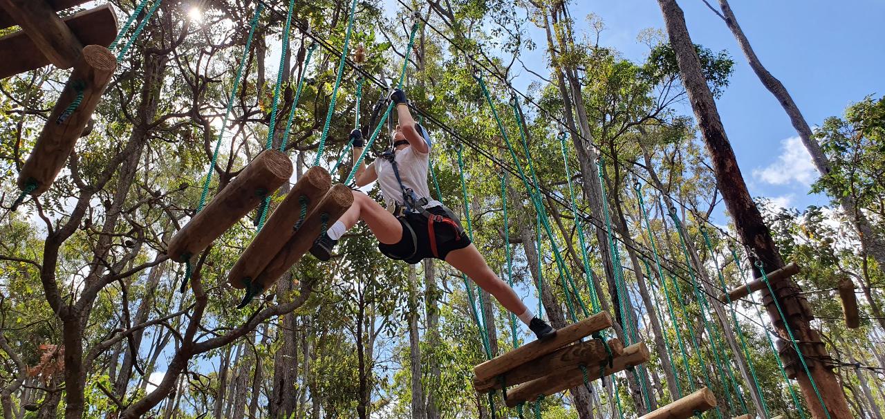 Dwellingup Treetops Adventure Hike - We Wander