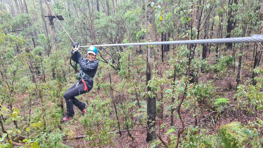 Dwellingup Treetops Adventure Hike - We Wander