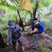 Dwellingup Treetops Adventure Hike - We Wander