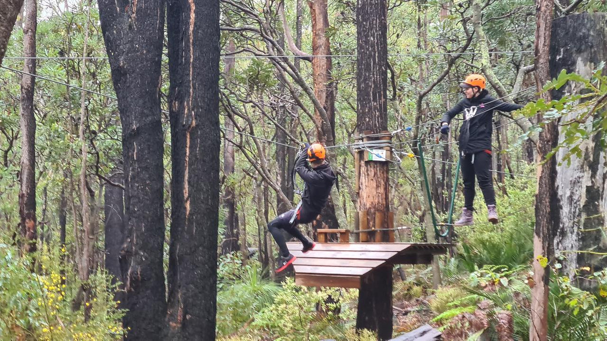 Dwellingup Treetops Adventure Hike - We Wander