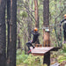 Dwellingup Treetops Adventure Hike - We Wander