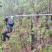 Dwellingup Treetops Adventure Hike - We Wander