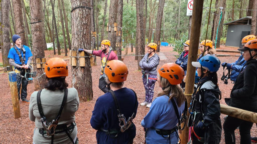 Dwellingup Treetops Adventure Hike - We Wander