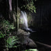 Evening Rainforest & Glow Worm Experience - We Wander