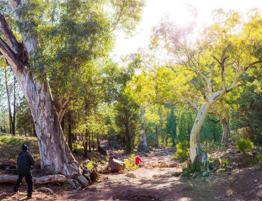 Flinders Ranges Photography Tour - We Wander